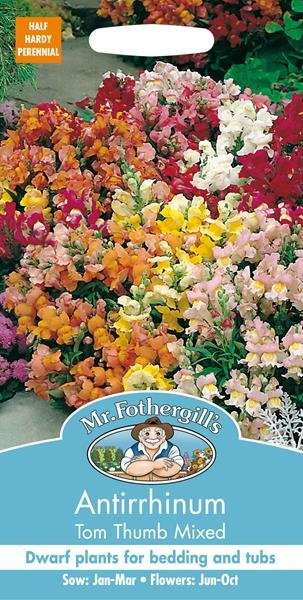 Antirrhinum Seeds - Tom Thumb Mixed