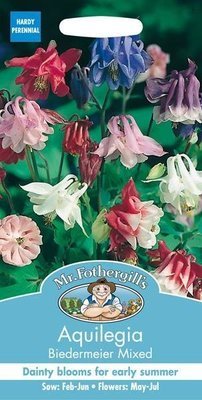 Aquilegia Biedermeier Mixed