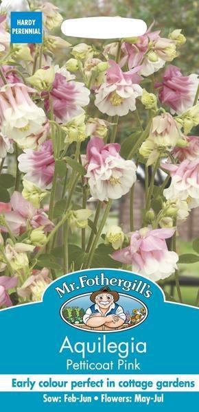 Aquilegia Petticoat Pink