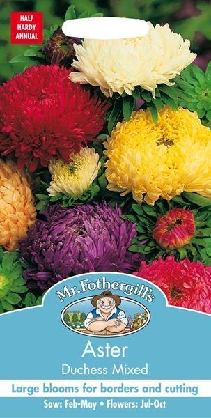 Aster Duchess Mixed Seeds