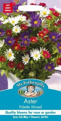 Aster Palette Mixed Seeds