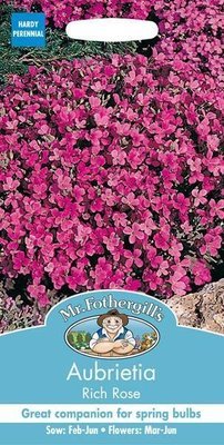Aubrietia Rich Rose Seeds