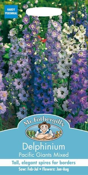 Delphinium Pacific Giants Mixed