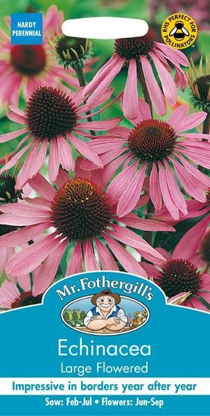 Echinacea Large Flowered Purple Coneflower Seeds