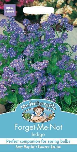 Forget Me Not Indigo Seeds