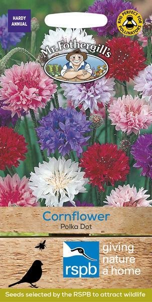Cornflower Polka Dot Seeds