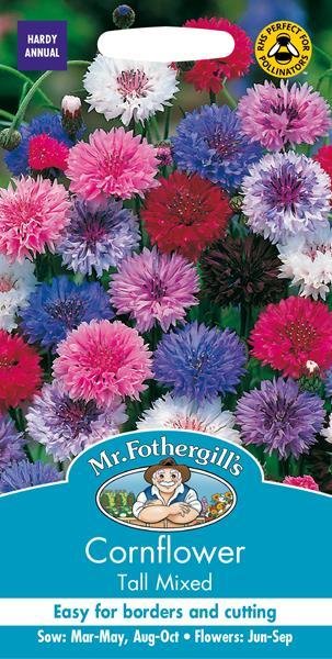 Cornflower Tall Mixed