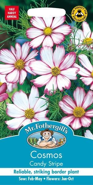Cosmos Candy Stripe Seeds