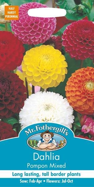 Dahlia Pompon Mixed Seeds