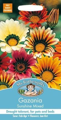 Gazania Sunshine Mixed Seeds