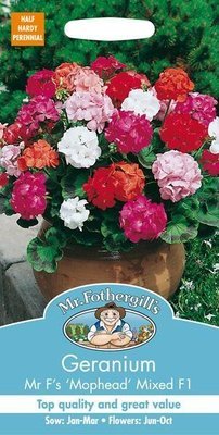 Geranium Mr F&#39;s Mophead Selection Mixed F1 Seeds
