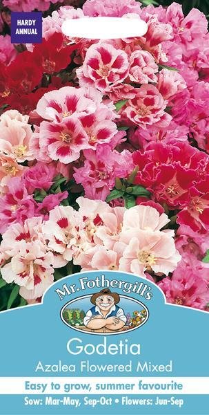 Godetia Azalea Flowered Mixed Seeds