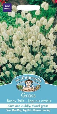 Grass Bunny Tails Seeds