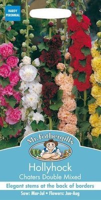 Hollyhock Chaters Double Mixed