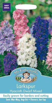Larkspur Hyacinth Dwarf Mixed Seeds