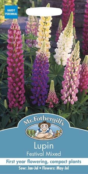 Lupin Festival Mixed Seeds