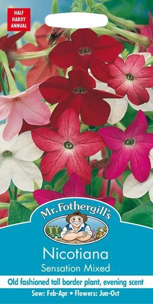 Nicotiana Sensation Mixed
