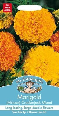 Marigold (African) Crackerjack Mixed