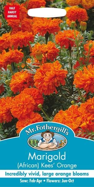 Marigold (African) Kees&#39; Orange Seeds
