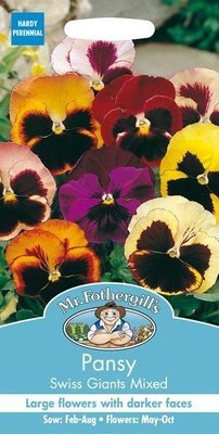 Pansy Swiss Giants Mixed