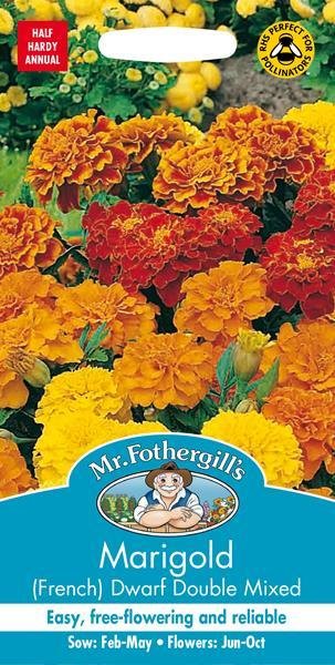 Marigold (French) Dwarf Double Mixed