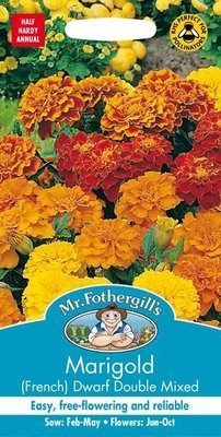 Marigold (French) Dwarf Double Mixed
