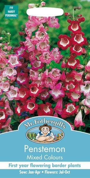Penstemon Mixed Colours Seeds