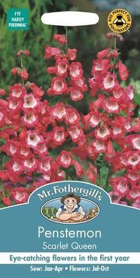 Penstemon Scarlet Queen Seeds