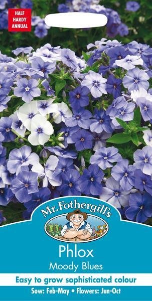 Phlox Moody Blues Seeds
