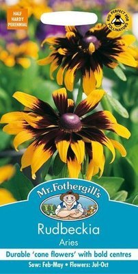 Rudbeckia Aries