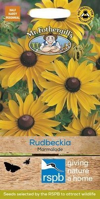 Rudbeckia Marmalade