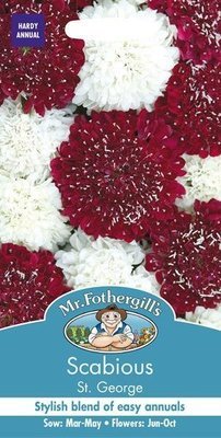 Scabious St George Mixed Seeds