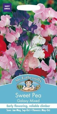 Sweet Pea Galaxy Mixed Seeds