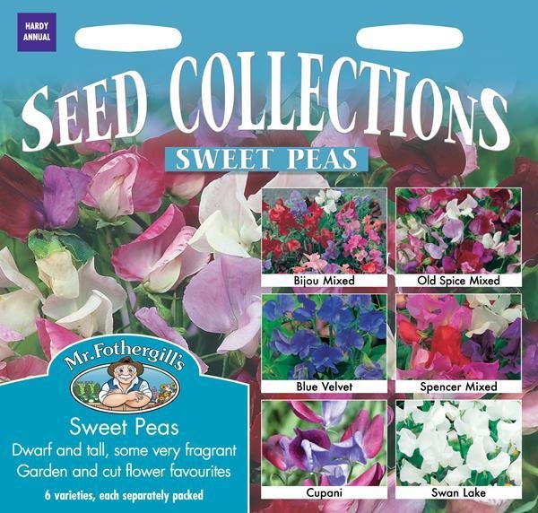 Sweet Pea Seed Collection