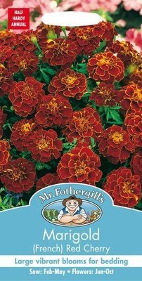 Marigold (French) Red Cherry Seeds