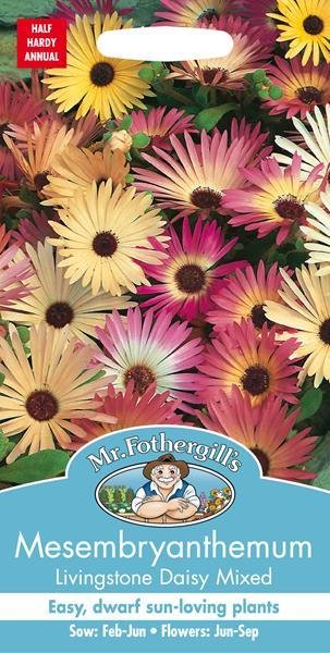 Mesembryanthemum Livingstone Daisy Mixed Seeds