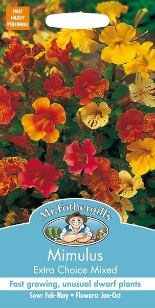 Mimulus Extra Choice Mixed Seeds