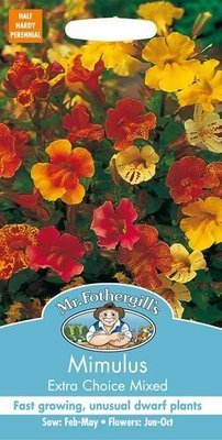 Mimulus Extra Choice Mixed Seeds