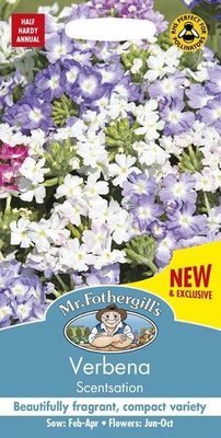 Verbena Scentsation