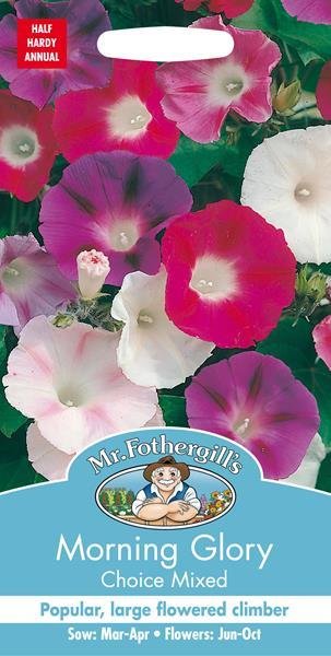 Morning Glory Choice Mixed