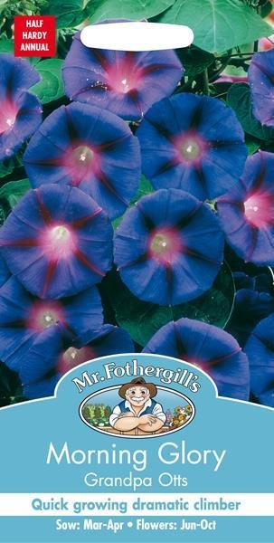 Morning Glory Grandpa Otts