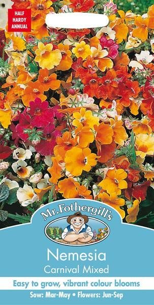 Nemesia Carnival Mixed