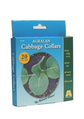 Cabbage collars