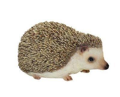 Pet Pal - Pygmy Hedgehog
