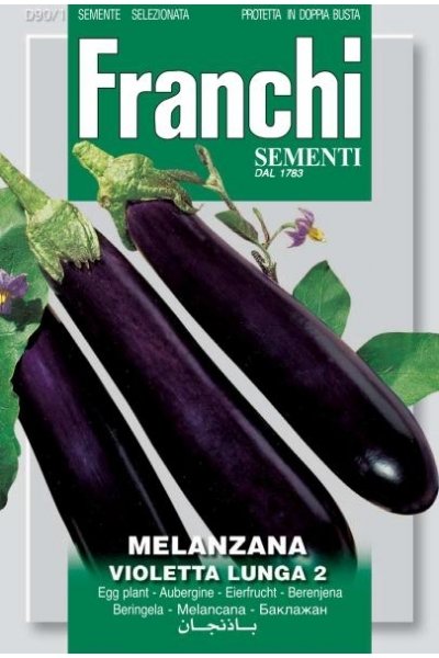 Aubergine Violetta Lunga
