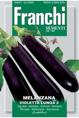 Aubergine Violetta Lunga