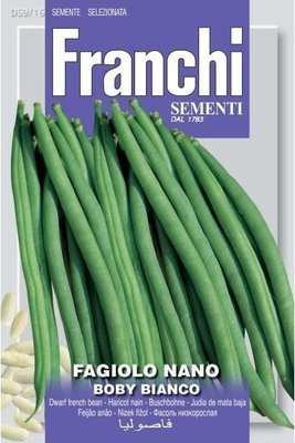 Dwarf French Bean Boby Bianco