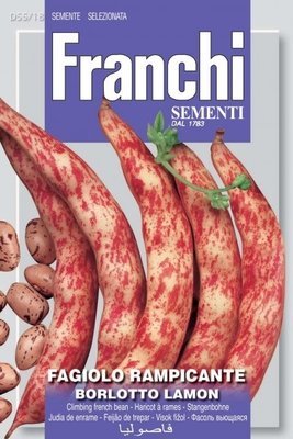 Borlotto Bean Lamon Climber