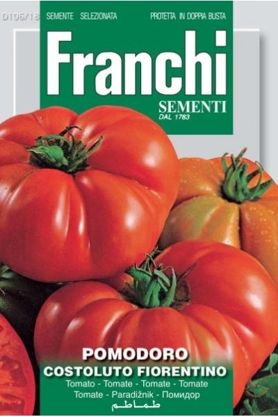 Tomato Costoluto Fiorentino Florence