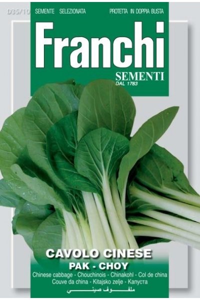 Pac Choy